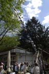 060501brunnwart_maibaum19
