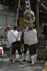 060501brunnwart_maibaum25
