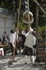 060501brunnwart_maibaum29