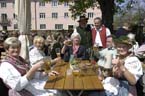 060501brunnwart_maibaum53