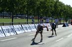 060716world_inline130