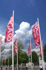 050524buga_koehler001