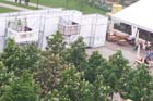 050524buga_koehler118