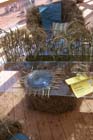 050703buga_braut07
