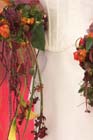 050703buga_braut50