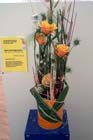 050703buga_ueberraschung01