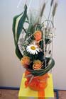 050703buga_ueberraschung04