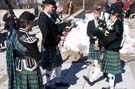 050313st_patricks1_02