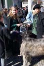 050313st_patricks1_06