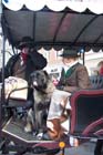 060312st_patricks034
