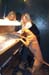 p1_neu_h76kaefer_hund