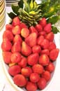 050125buffet_gastroball12
