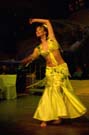 060131gastronomenball065