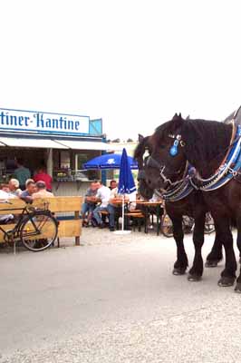 030724wiesnaufbau_h0870007