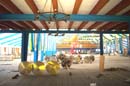 030820wiesnaufbau_q25braeu