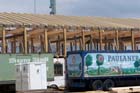 050722wiesn_kaefer04