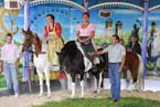060914ig_wiesnrundgang007