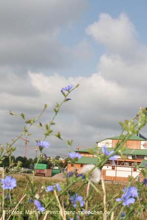 060805wiesnaufbau045