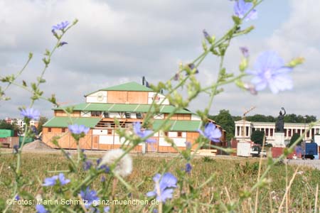 060805wiesnaufbau046