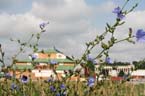 060805wiesnaufbau043