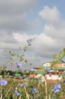 060805wiesnaufbau045