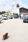 060808wiesnaufbau46