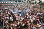 060916wiesn_auftakt066