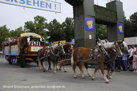 060916wirteeinzug_ig_073