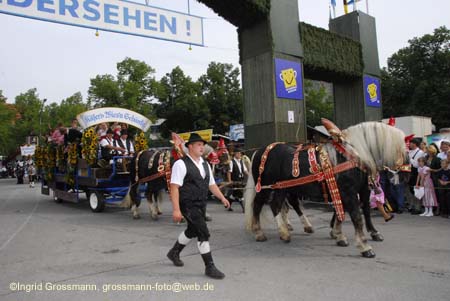 060916wirteeinzug_ig_105