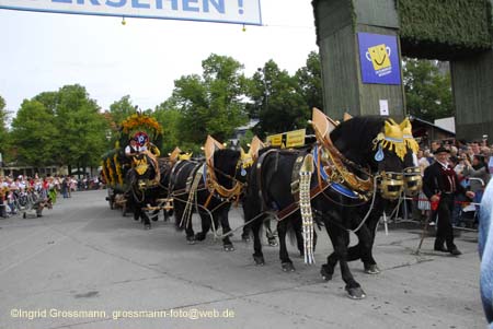 060916wirteeinzug_ig_263