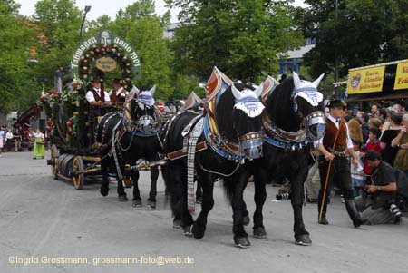 060916wirteeinzug_ig_470