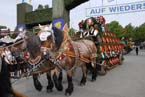 060916wirteeinzug_ig_036