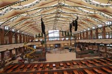 220909mlm_wiesnaufbau087
