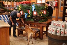 230916wiesn-suchhund2