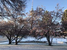 210406winter_hanami009