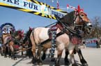 060421fruehlingsfest09