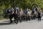 050826erding_einzug36